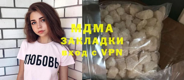 гидра Ельня
