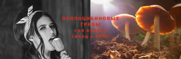 ALPHA PVP Алексин