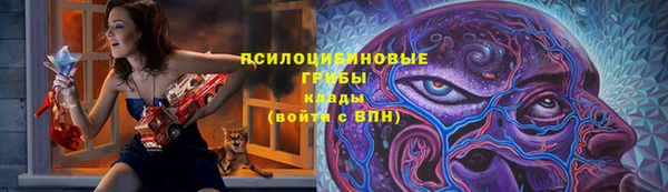 ALPHA PVP Алексин